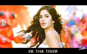 Ek Tha Tiger